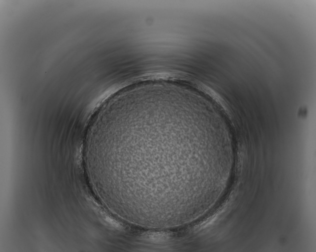X0000089960778200707061139