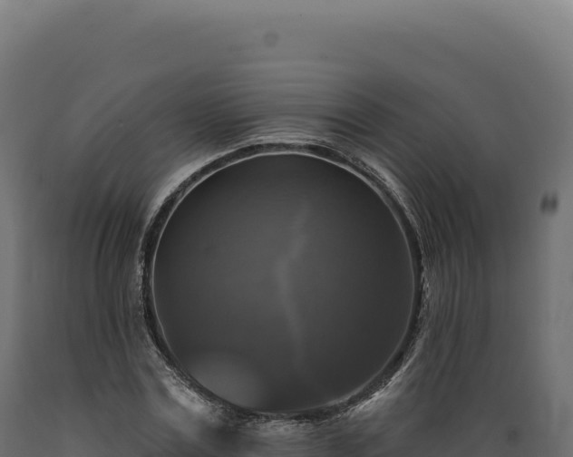 X0000089960779200707061139
