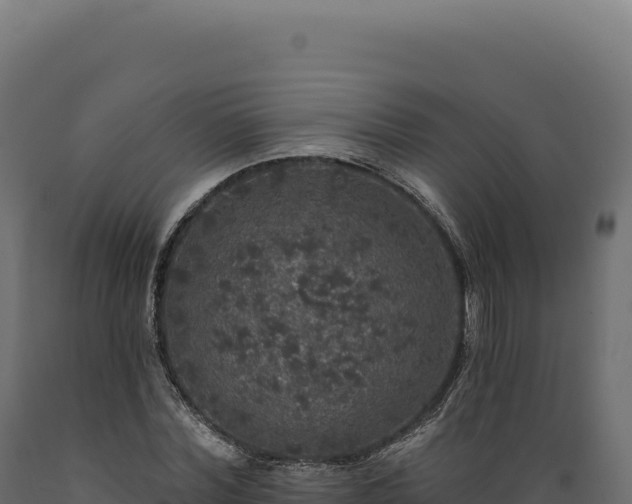 X0000089960780200707061139