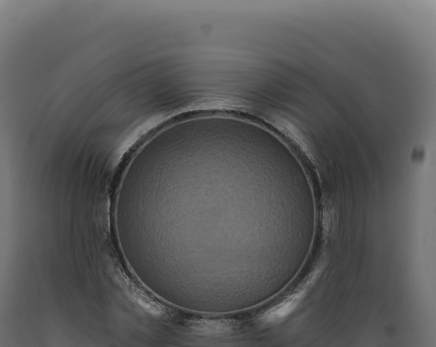 X0000089960781200707061139