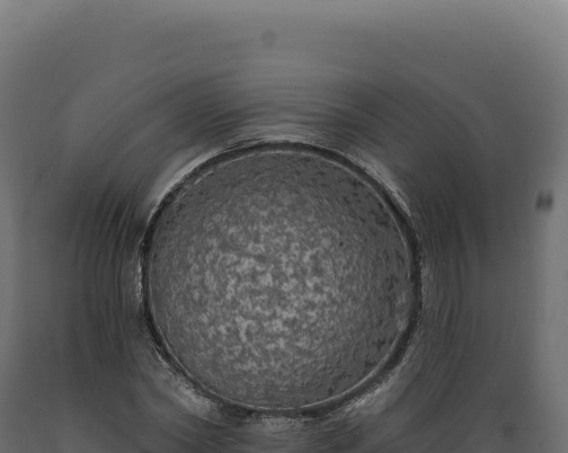 X0000089960782200707061139