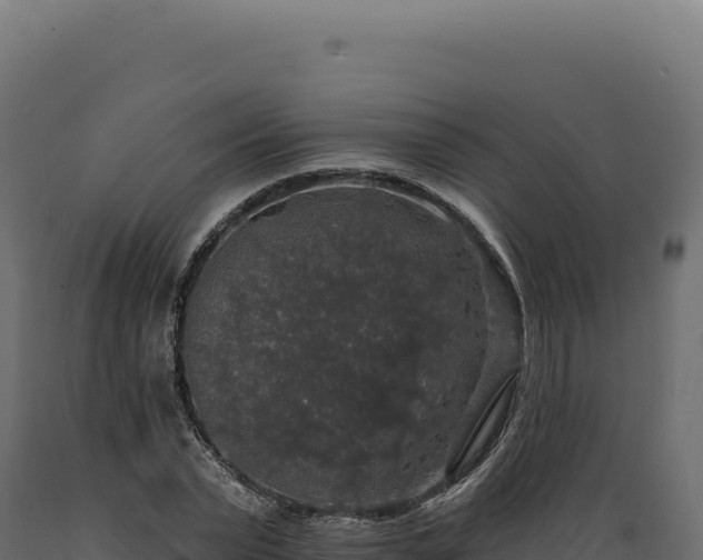 X0000089960783200707061139