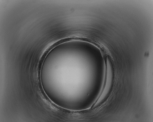X0000089960784200707061139
