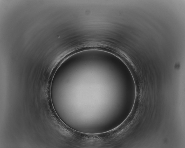 X0000089960786200707061139