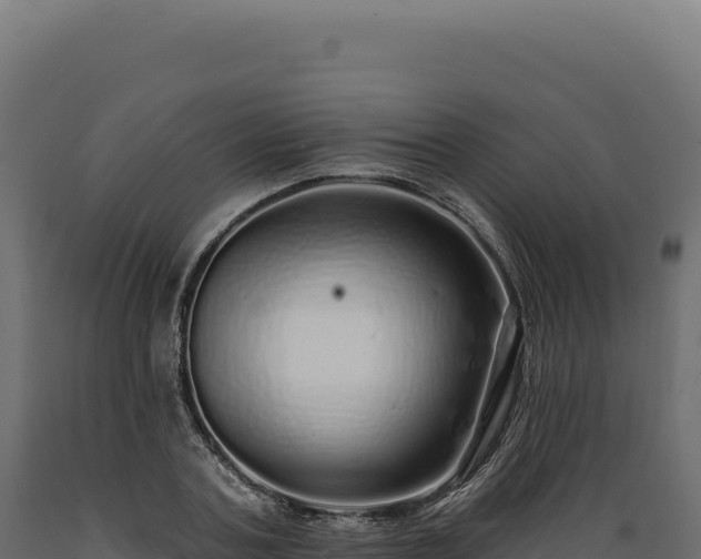 X0000089960787200707061139