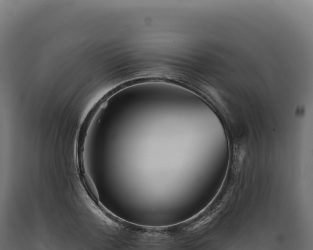 X0000089960788200707061139