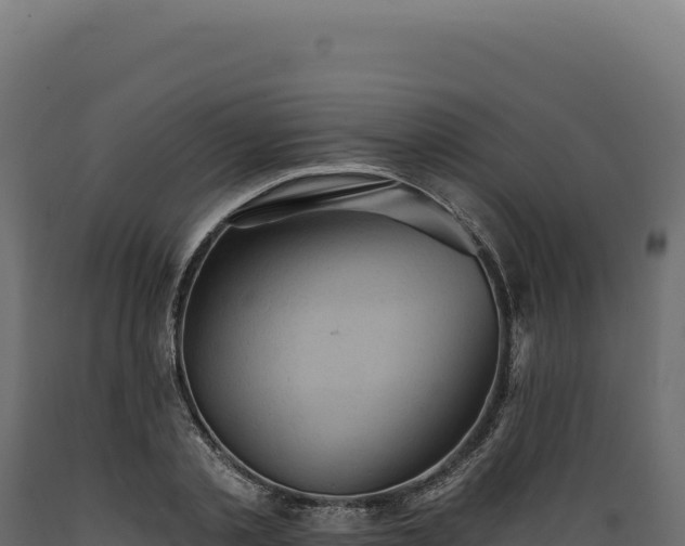 X0000089960789200707061139