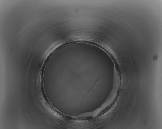 X0000089960790200707061139