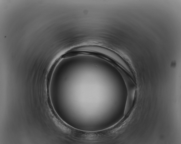X0000089960792200707061139