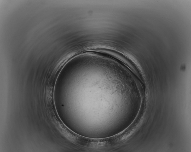 X0000089960793200707061139