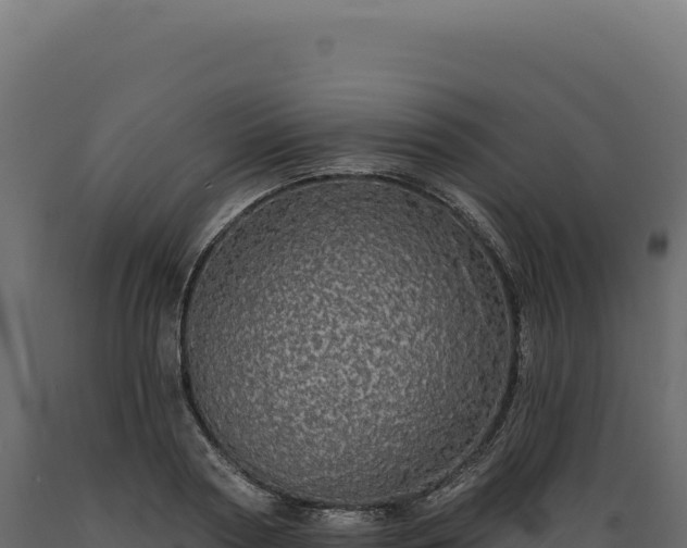 X0000089960794200707061139