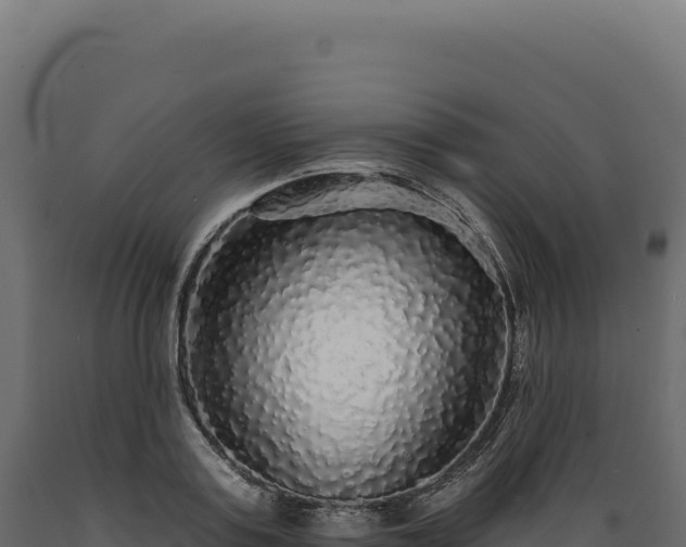 X0000089960795200707061139