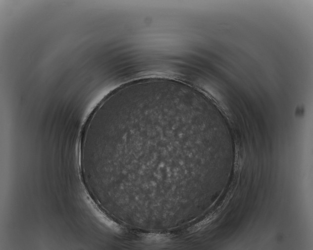 X0000089960796200707061139
