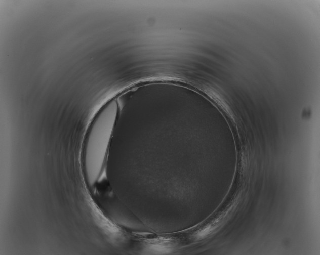 X0000089960797200707061139