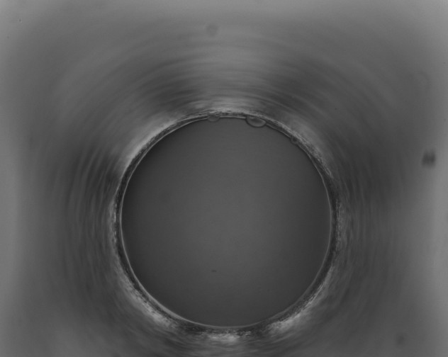 X0000089960798200707061139