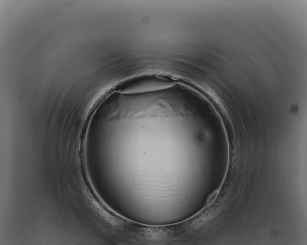 X0000089960799200707061139