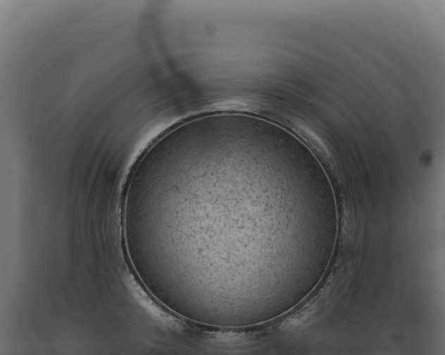 X0000089960800200707061139
