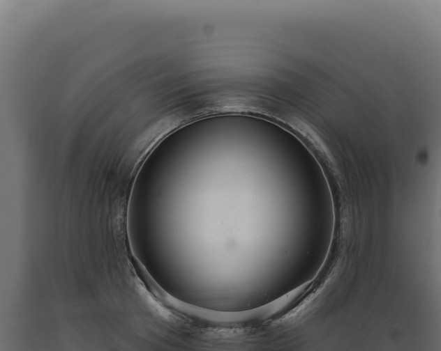 X0000089960801200707061139