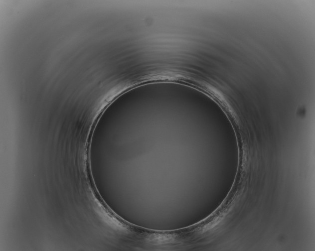 X0000089960802200707061139