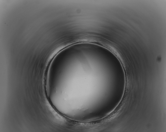 X0000089960803200707061139