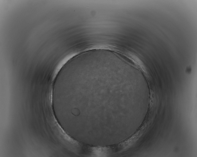 X0000089960804200707061139