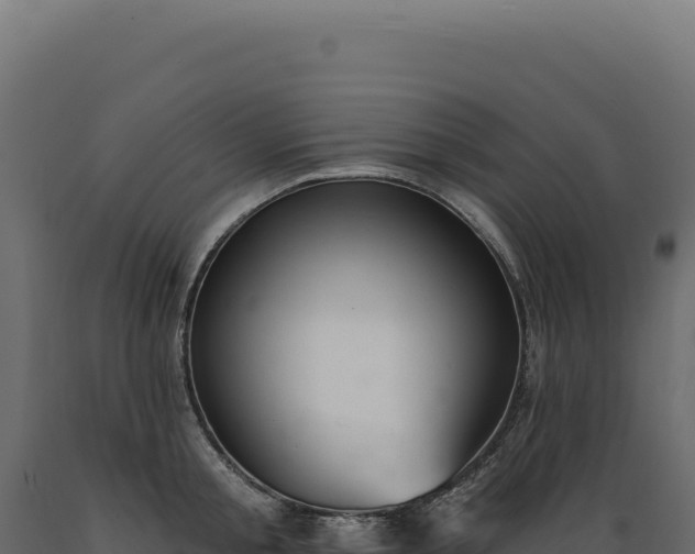 X0000089960805200707061139