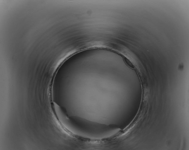 X0000089960806200707061139