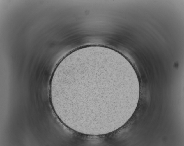 X0000089960807200707061139