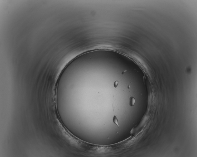 X0000089960808200707061139