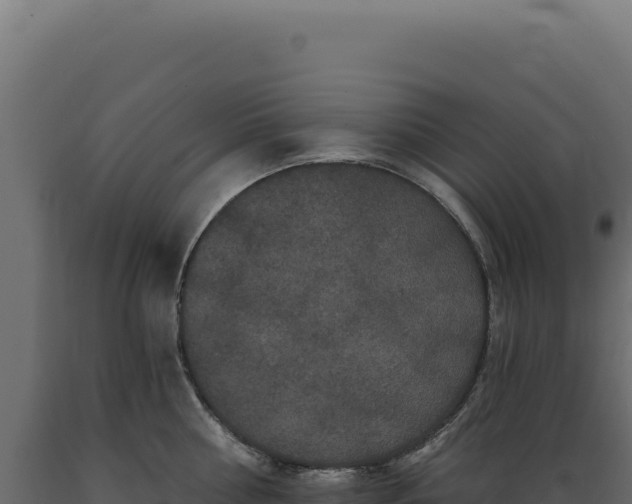 X0000089960810200707061139
