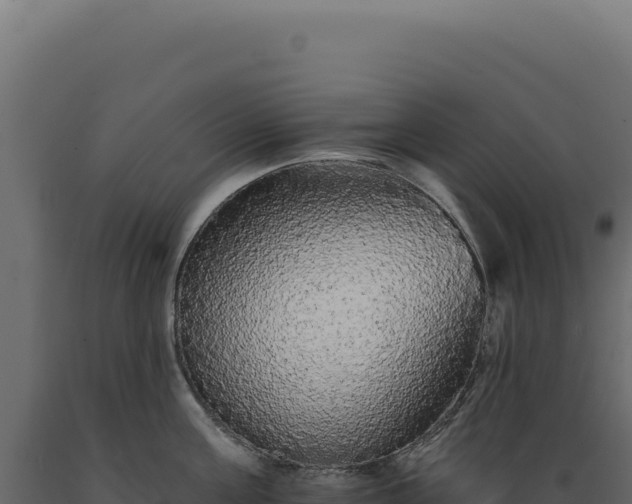 X0000089960811200707061139