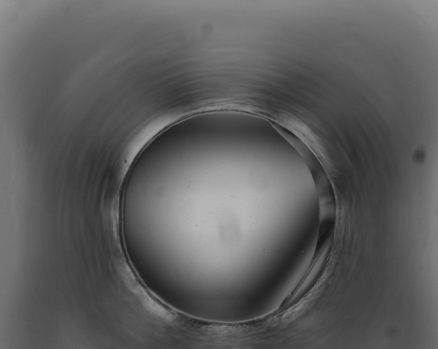 X0000089960812200707061139