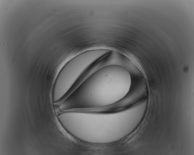 X0000089960813200707061139