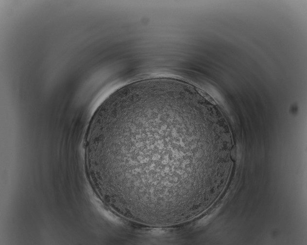 X0000089960814200707061139