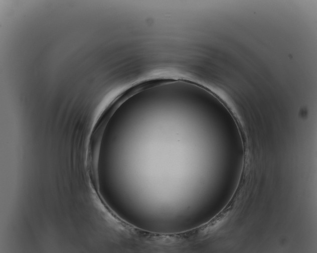 X0000089960815200707061139