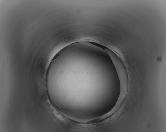 X0000089960816200707061139