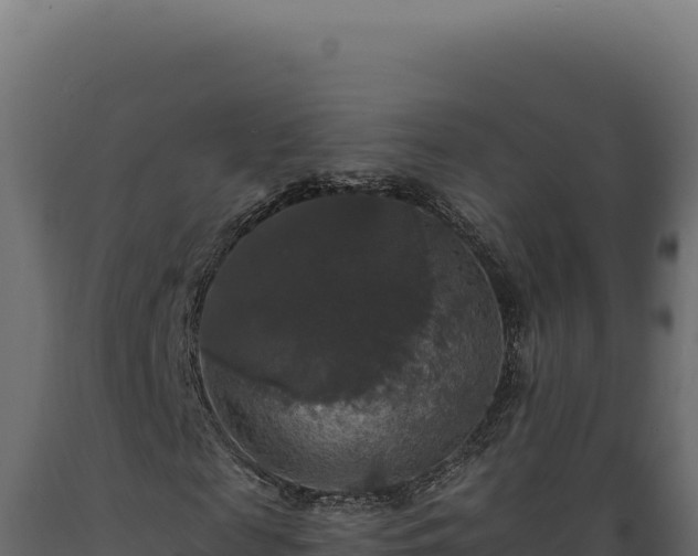 X0000089960817200707061138