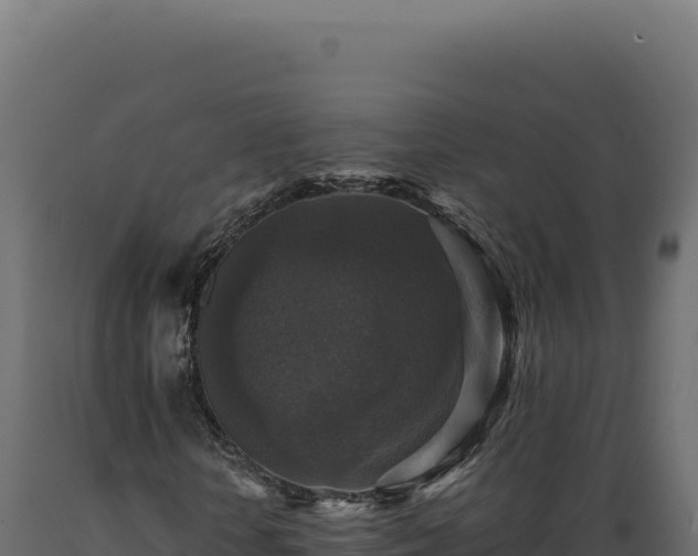 X0000089960818200707061138