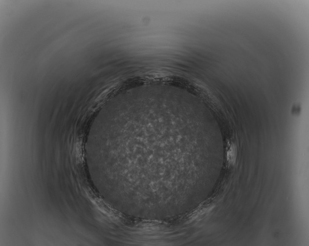 X0000089960819200707061138