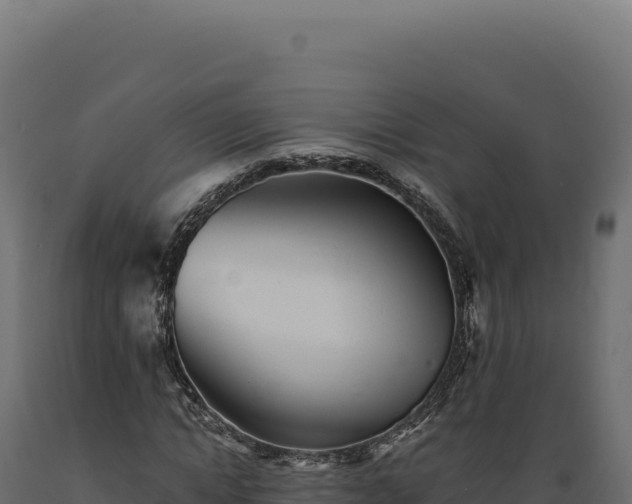 X0000089960822200707061138
