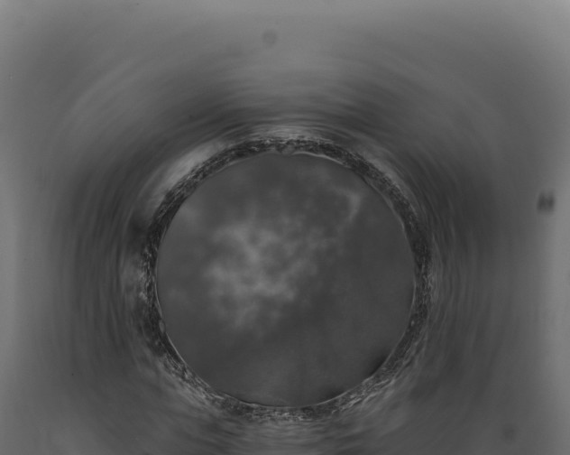 X0000089960823200707061138