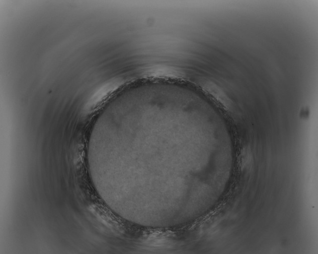 X0000089960824200707061138