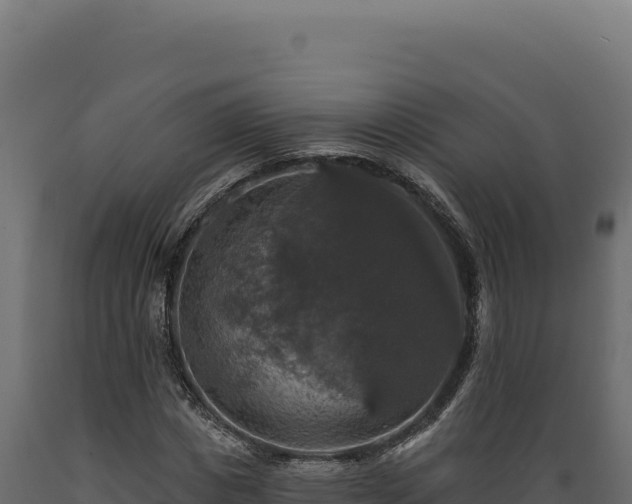 X0000089960825200707061138