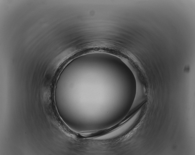 X0000089960826200707061138
