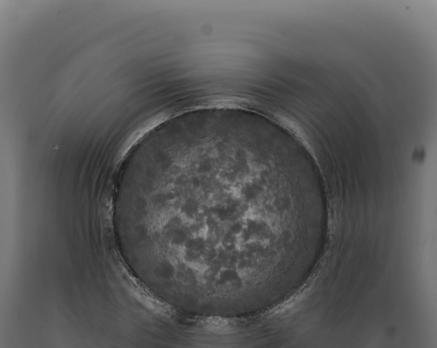 X0000089960827200707061138