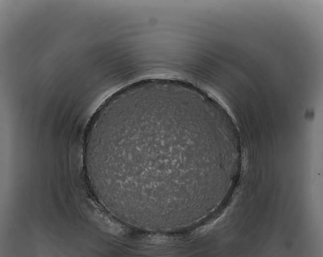 X0000089960829200707061138