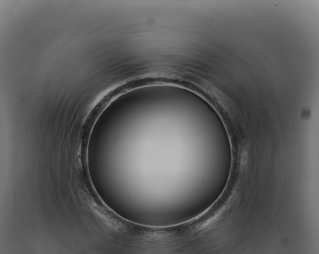 X0000089960830200707061138