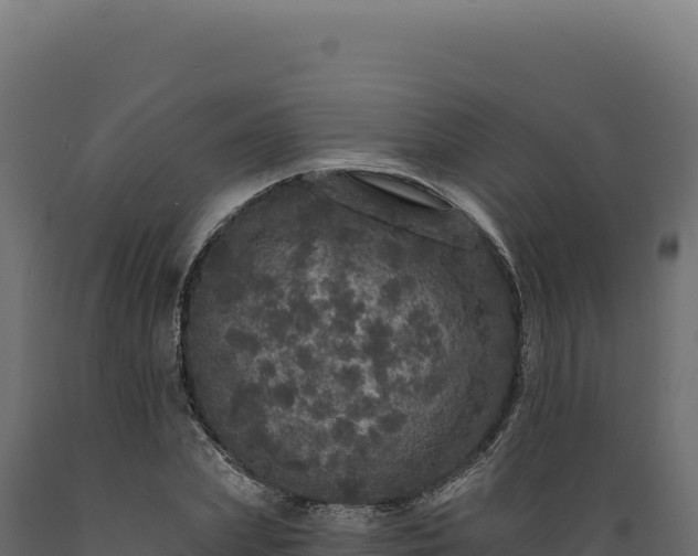 X0000089960831200707061138