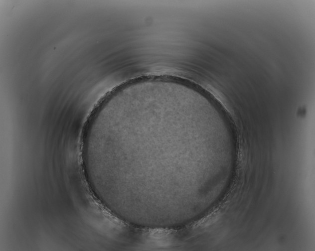 X0000089960832200707061138