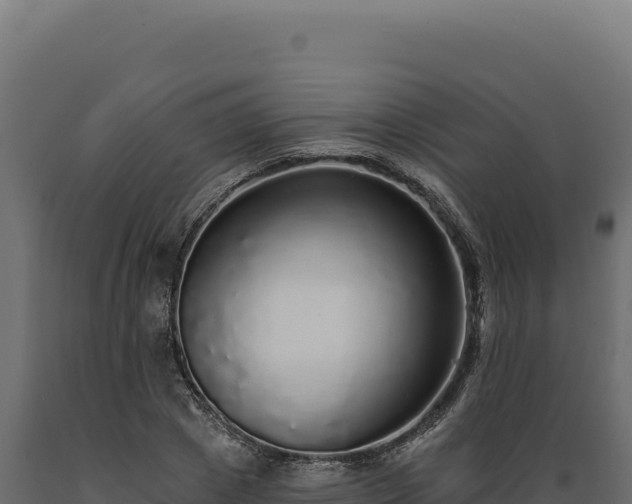X0000089960833200707061138